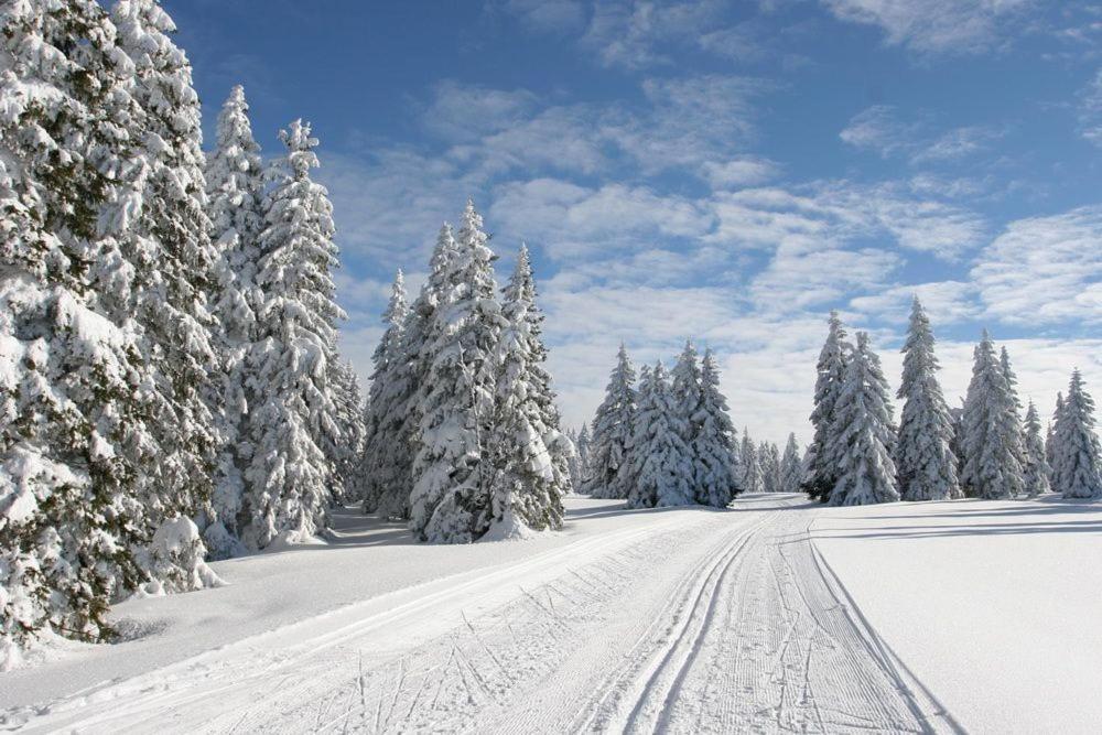 Apartmán Na Svahu, Krkonoše Žacléř Esterno foto
